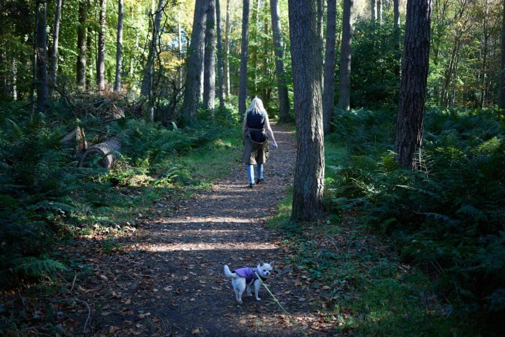 moms, finding hobbies, practicing self care 